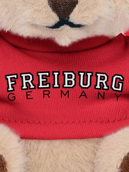 Freiburg Germany