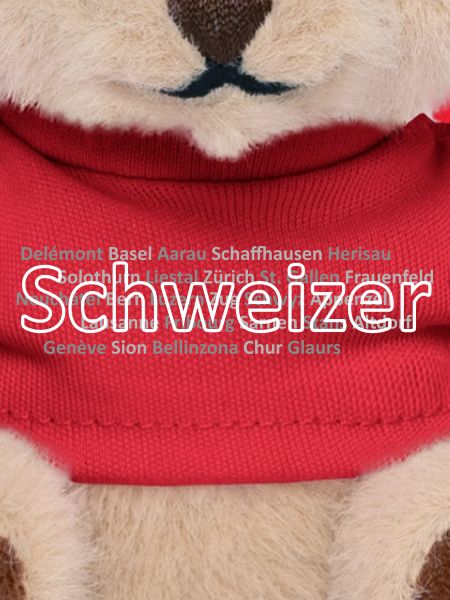 Schweizer Städte Schweizer