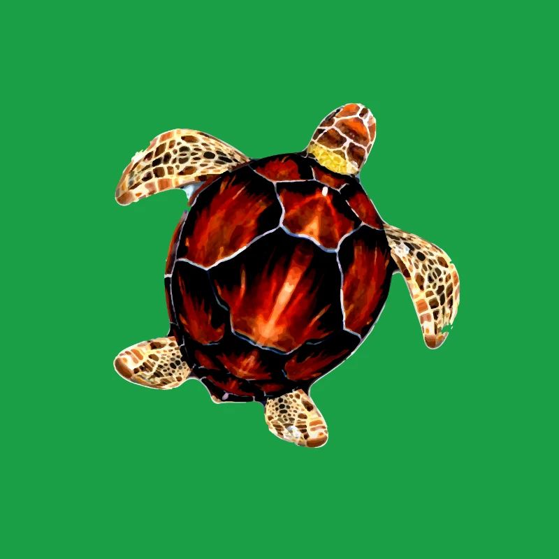 Pattern sea turtle illustration