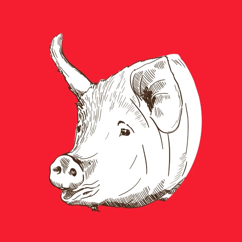 Pig