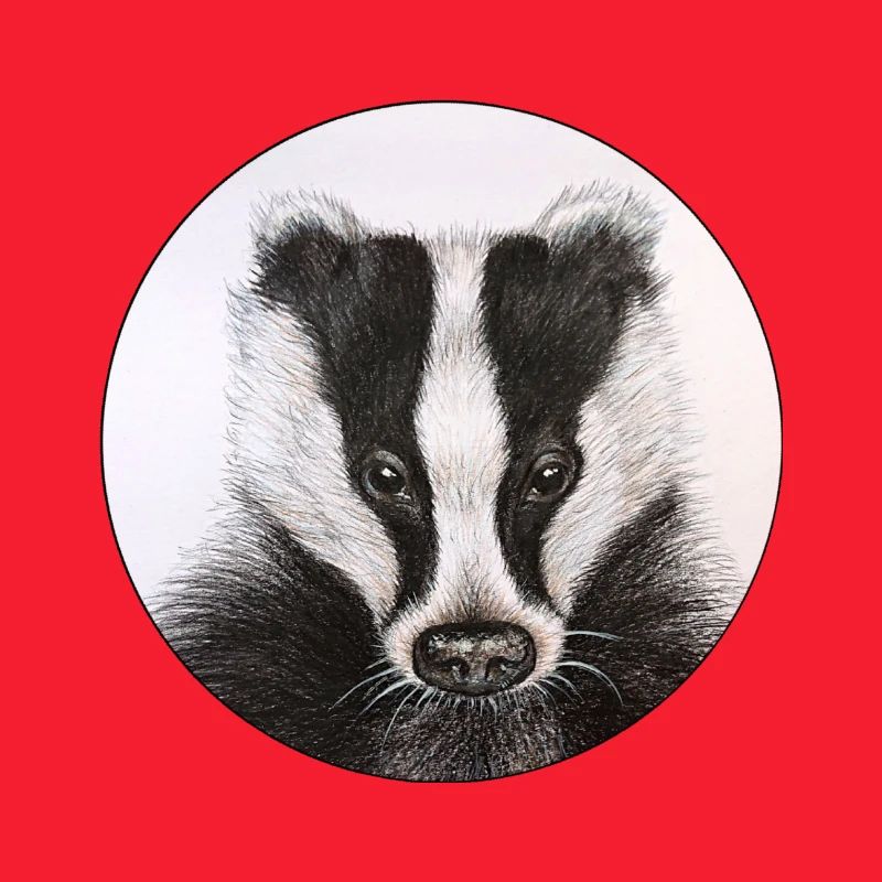 Badger /Badger