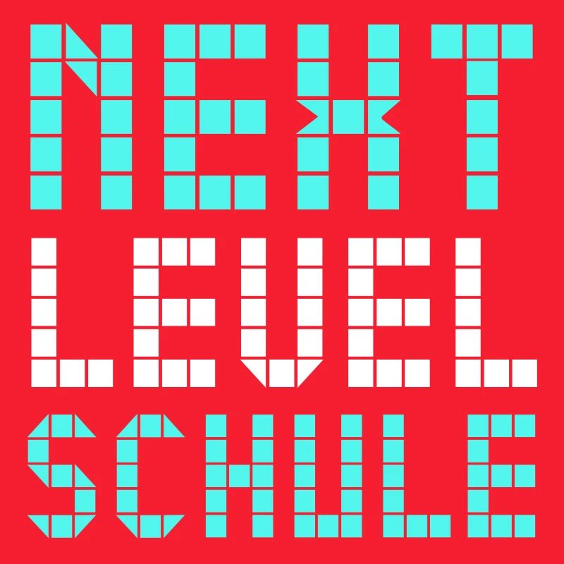 Next Level Schule