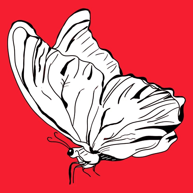 papillon vecter