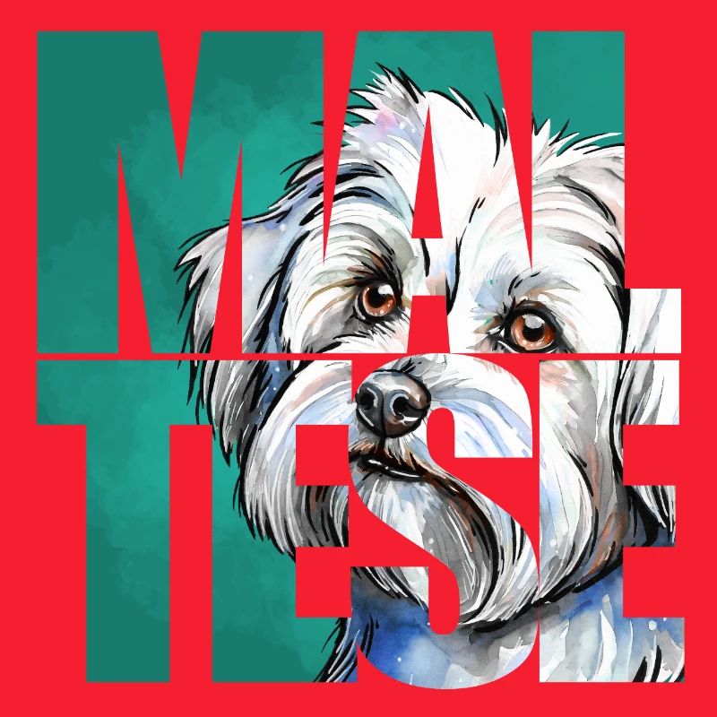 Maltese Portrait