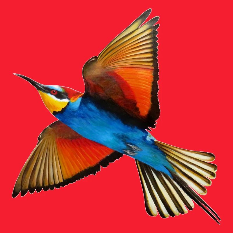Guêpier Oiseau