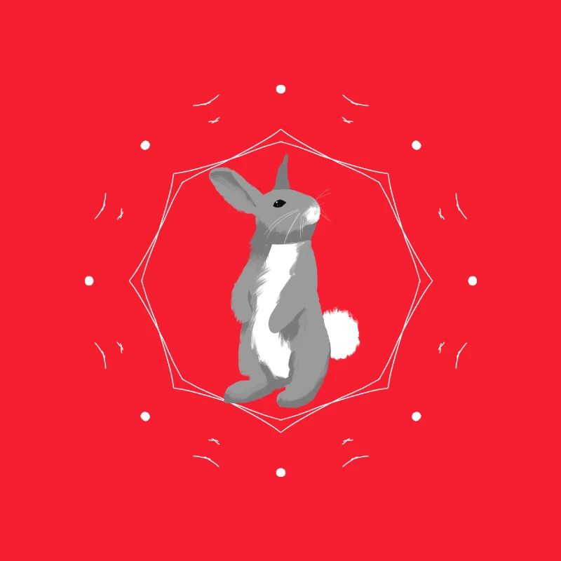 Lapin dans l’anneau de géométrie