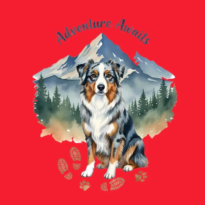 Australian Shepherd Mountains Adventure