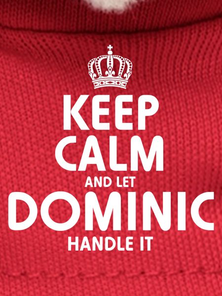 DOMINIC Handle It