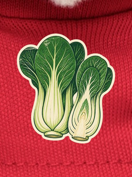 Pak Choi botanisch