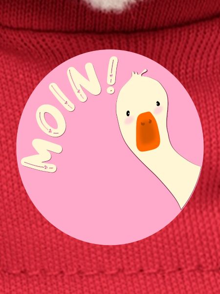 Gans Moin