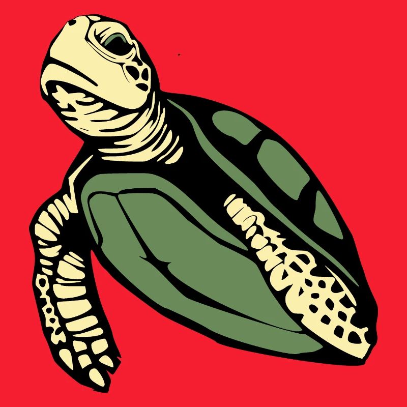 Turtle Turtles