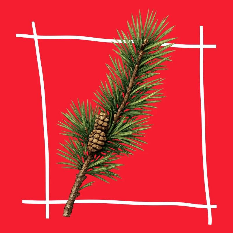 Pine Branch Minimal Frame