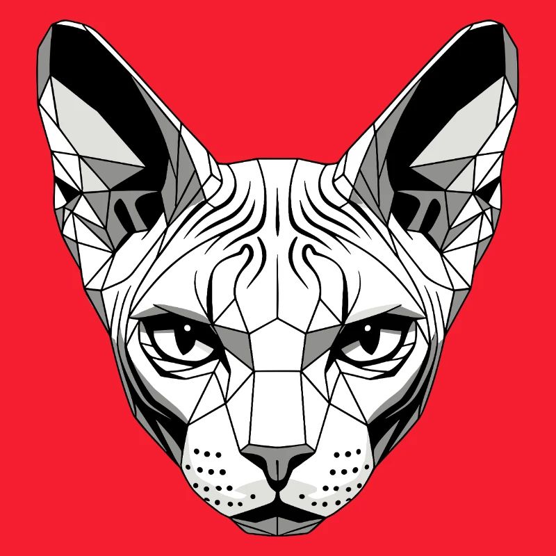 Sphynx Chat Sphynx Chat Chat Canadien Sphinx mignon