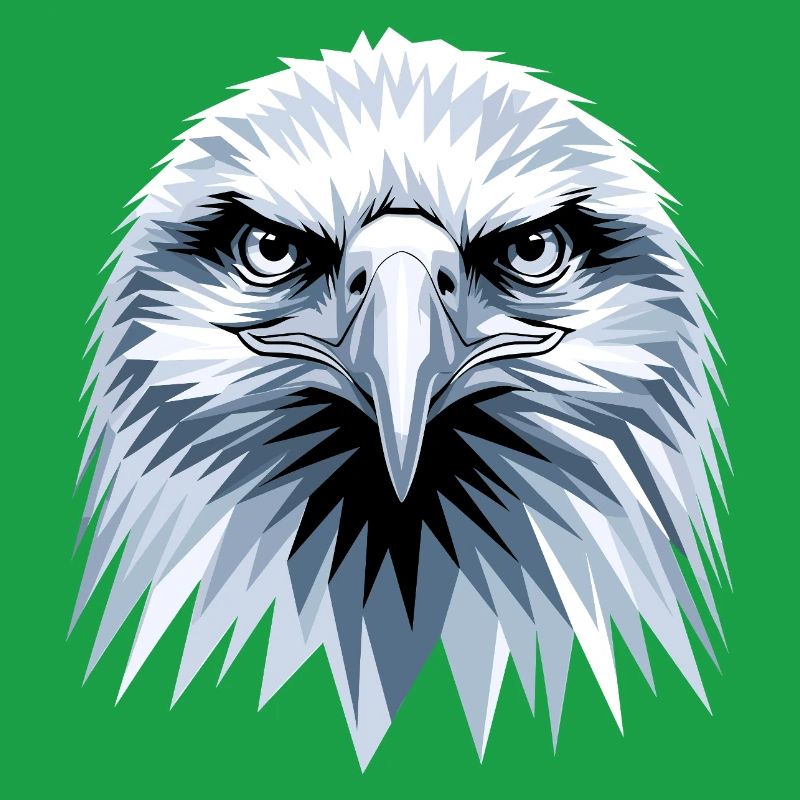 Eagle Bald Eagle Golden Eagle White-tailed Eagle