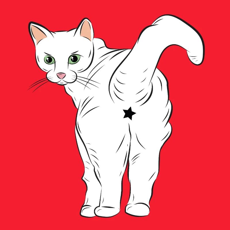 Chat blanc avec logo étoile