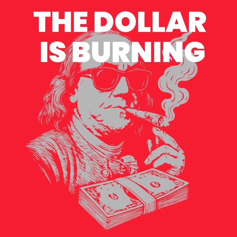 Weak Dollar - Ben Franklin is smoking dollars
