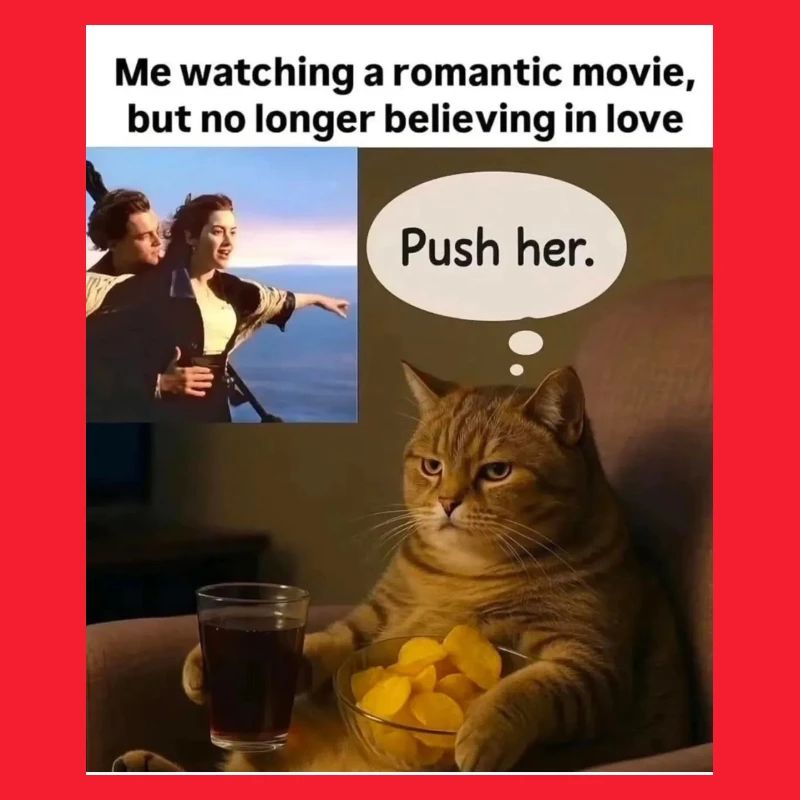 Cat Meme Push Romance