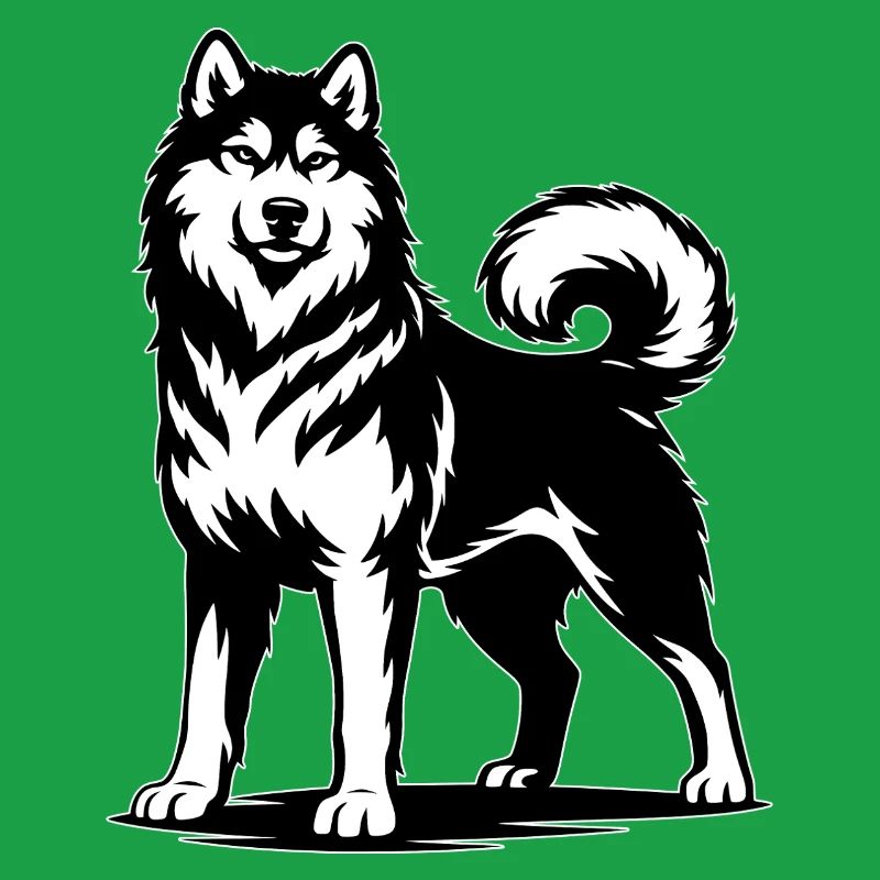 Alaskan Malamute in stolzer Pose