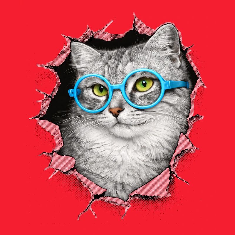 Chat mignon – Arts techniques mixtes Blue Glasses