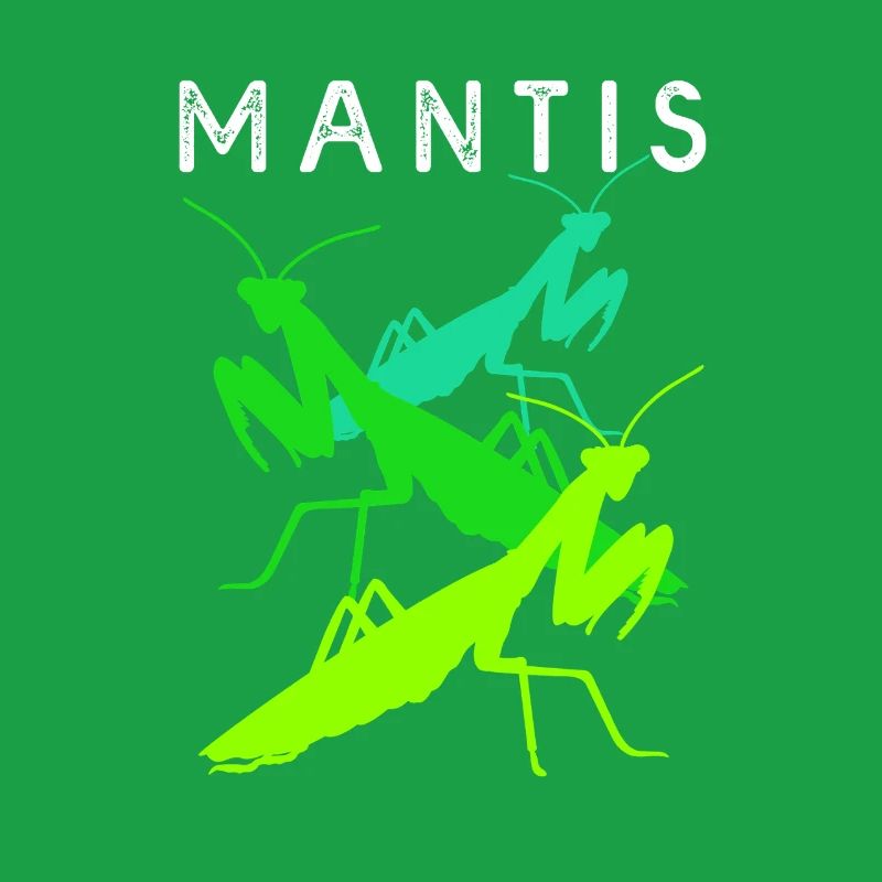Gottesanbeter Gottesanbeterin Mantis