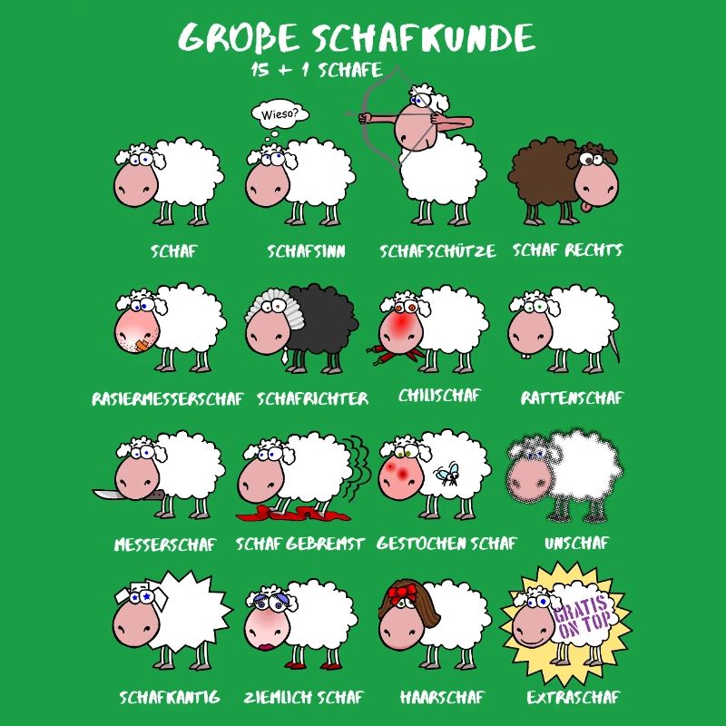 Great sheep knowledge