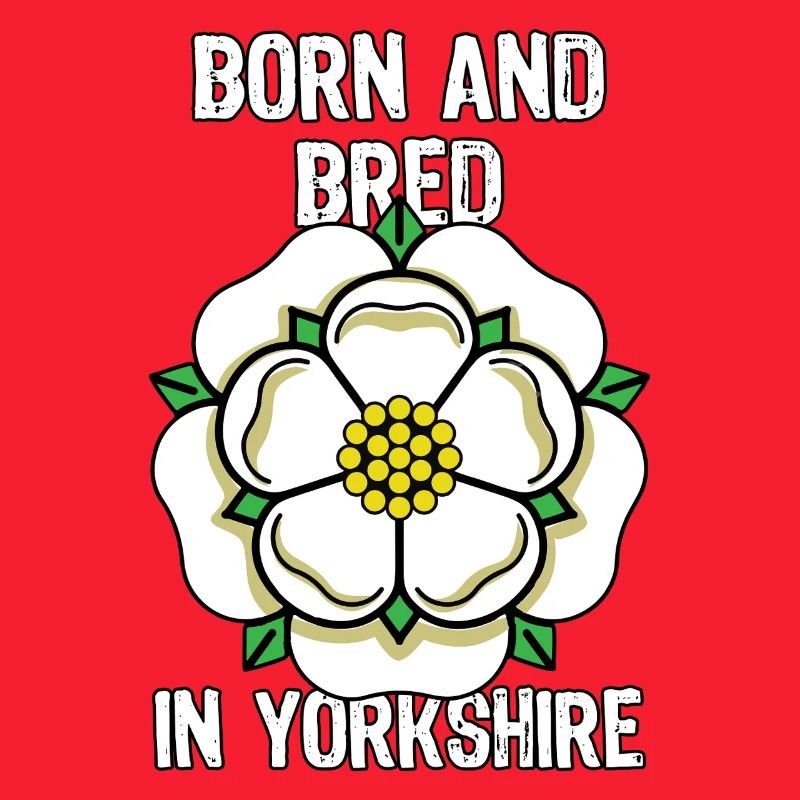 Dans le comté du Yorkshire, fière fleur du drapeau du Yorkshire