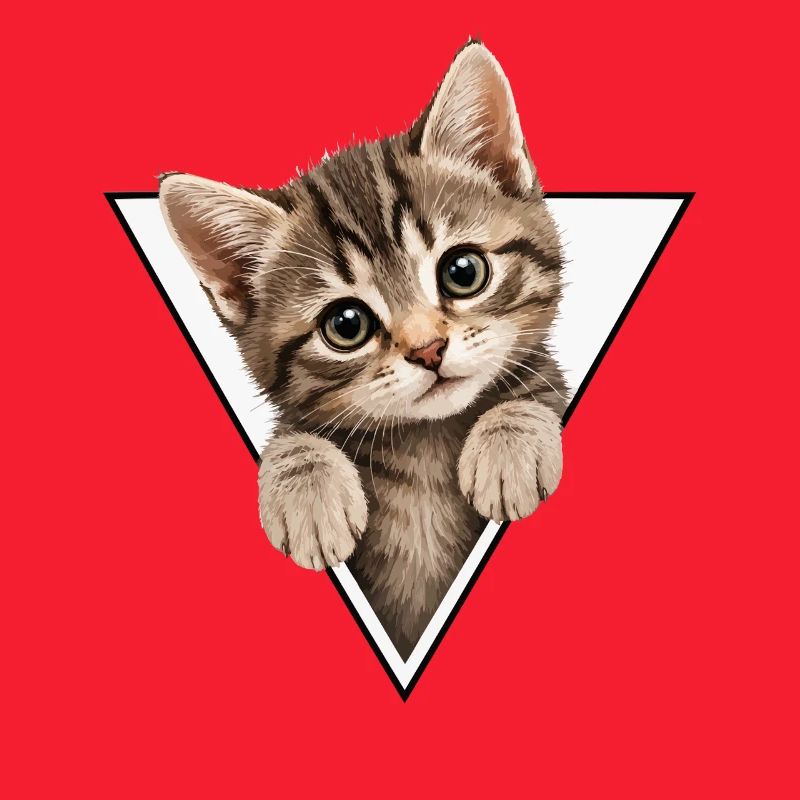 Chaton dans le triangle
