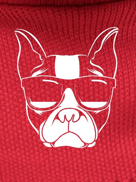 Boston Terrier