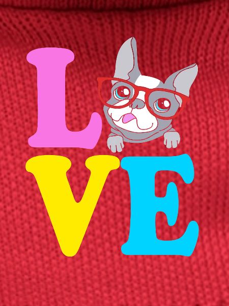 Boston Terrier