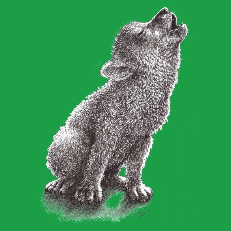 Junger heulender Wolf