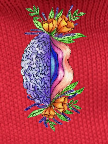 Vulva Brain