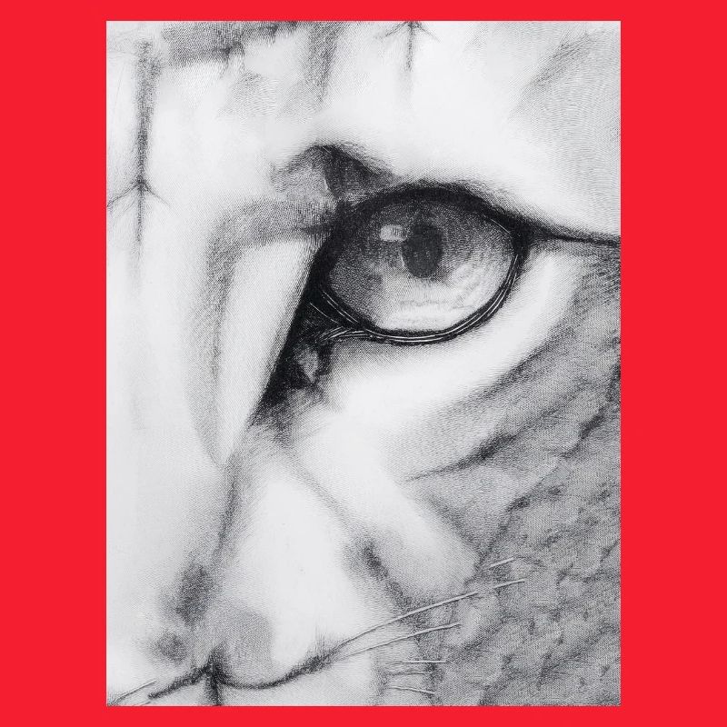 Feline