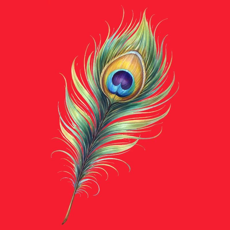 Peacock Feather Illustration Gradient Elegant
