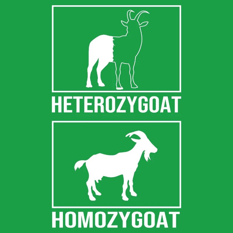 Molecule Structural Formula