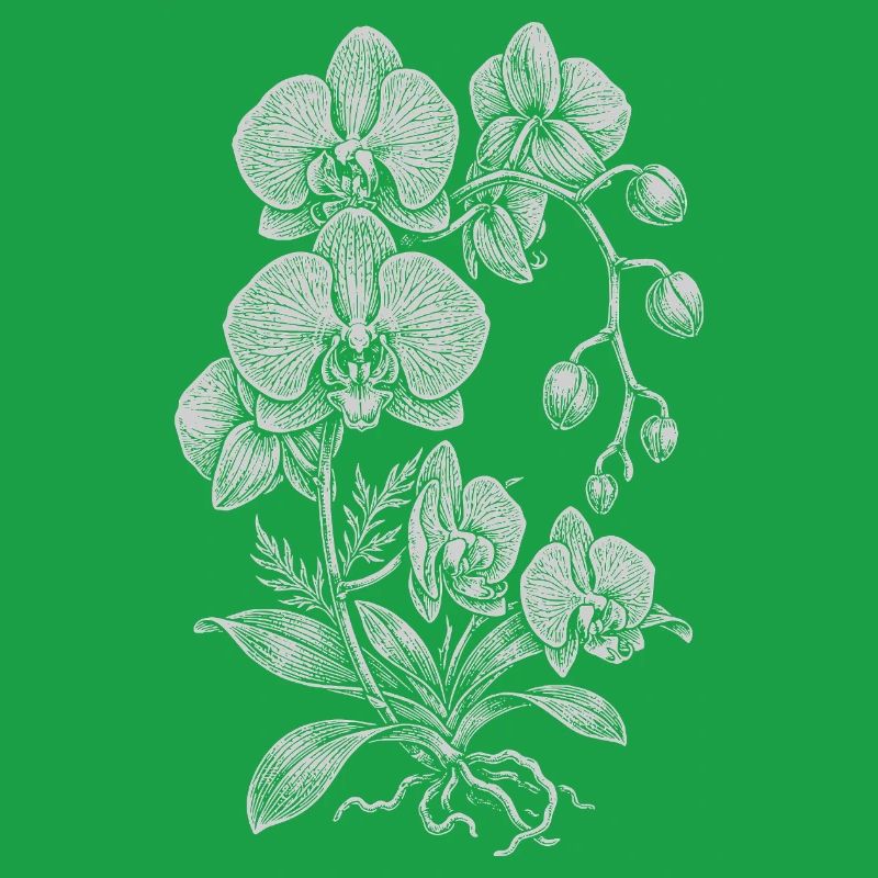 Orchidée Linework Silk Floral