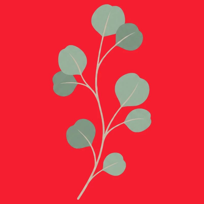 Eucalyptus Leaf Sprig