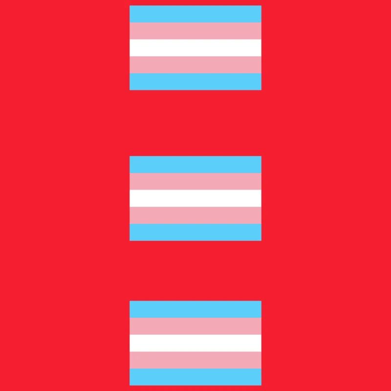Trans Pride Flags  