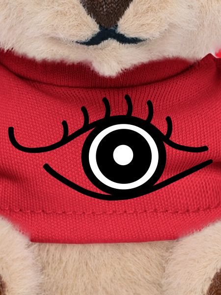 Auge_sw