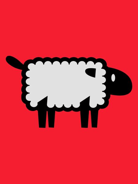 sheep