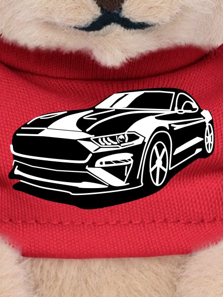 GT 500