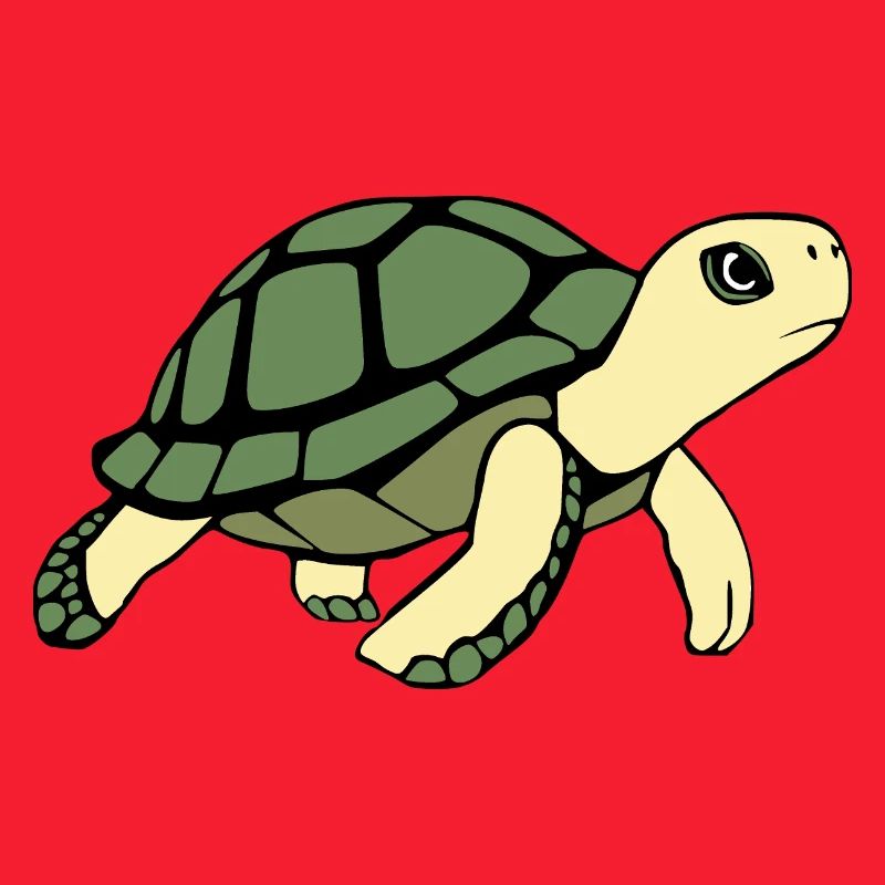 Turtle Turtles