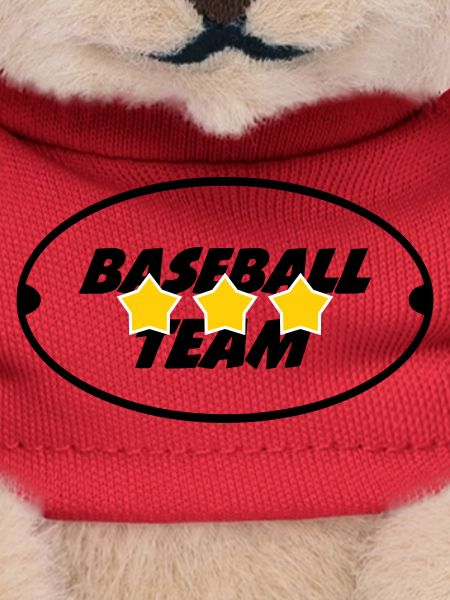 Baseball Team - Sport