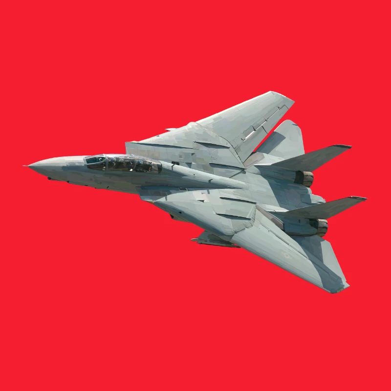 F-14 Tomcat