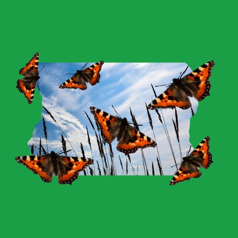 PAPILLON
