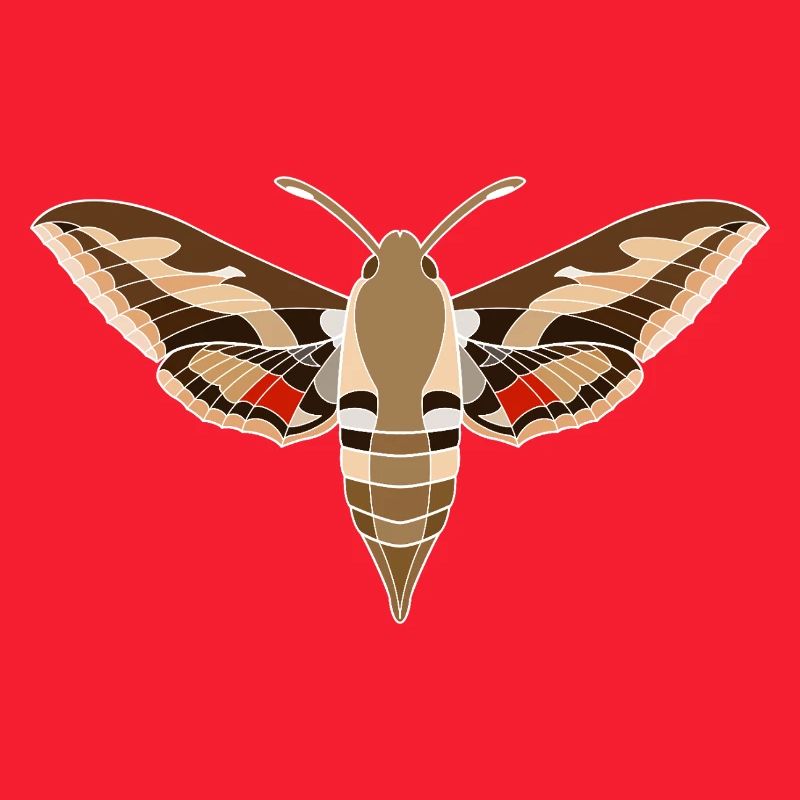 Bedstraw hawkmoth