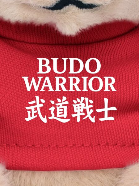 Budo-Krieger-Kampfkunst-Emblem