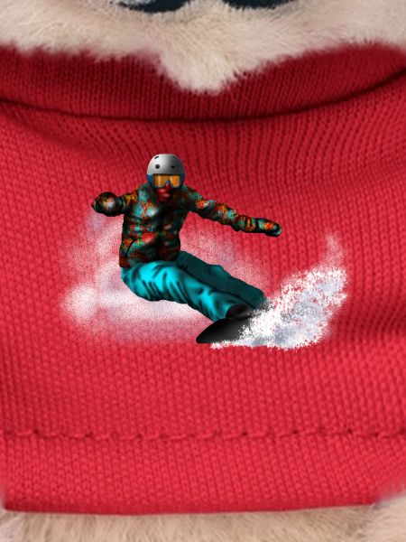 Snowboarding