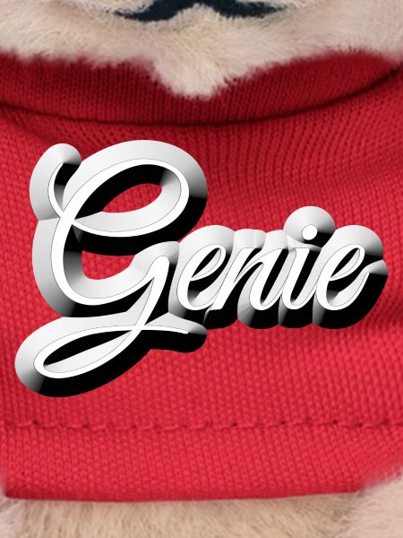 Nerd - GENIE