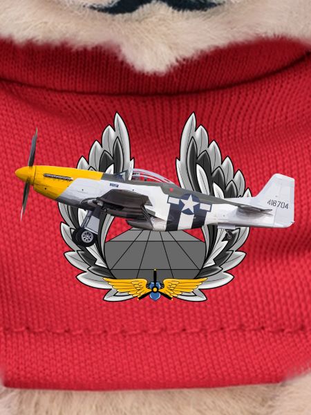 P-51