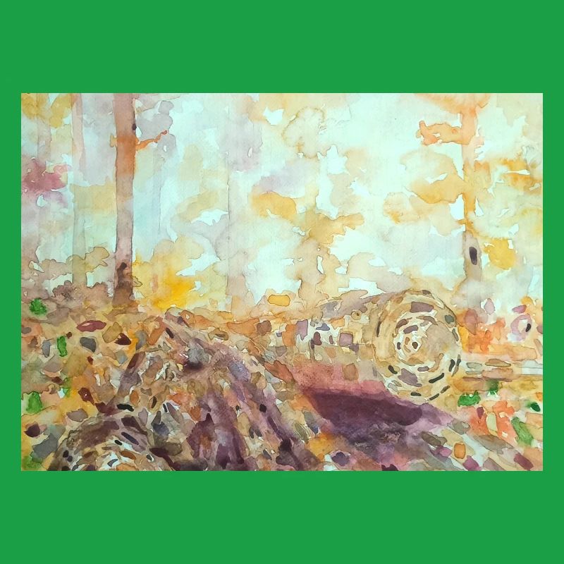 Paysage aquarelle forestier automne
